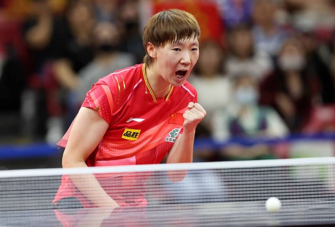 的提议表现 的提议表现