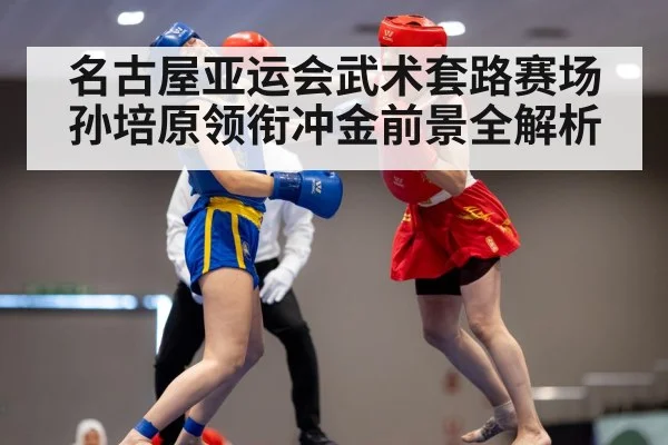 wushu martial arts - kaiyun